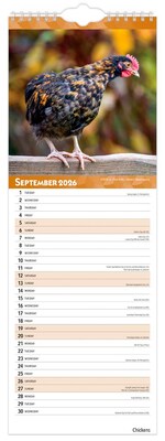 2026 BrownTrout Chickens 5.88" x 16.5" Monthly Wall Calendar (9798330702893)
