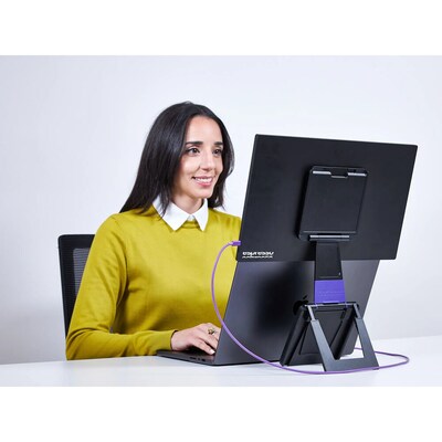 espresso Displays Pro 17.3" 4K UHD 60Hz LCD Portable Business Monitor, Adjustable, Universal Docking Station, Black (900-00040)