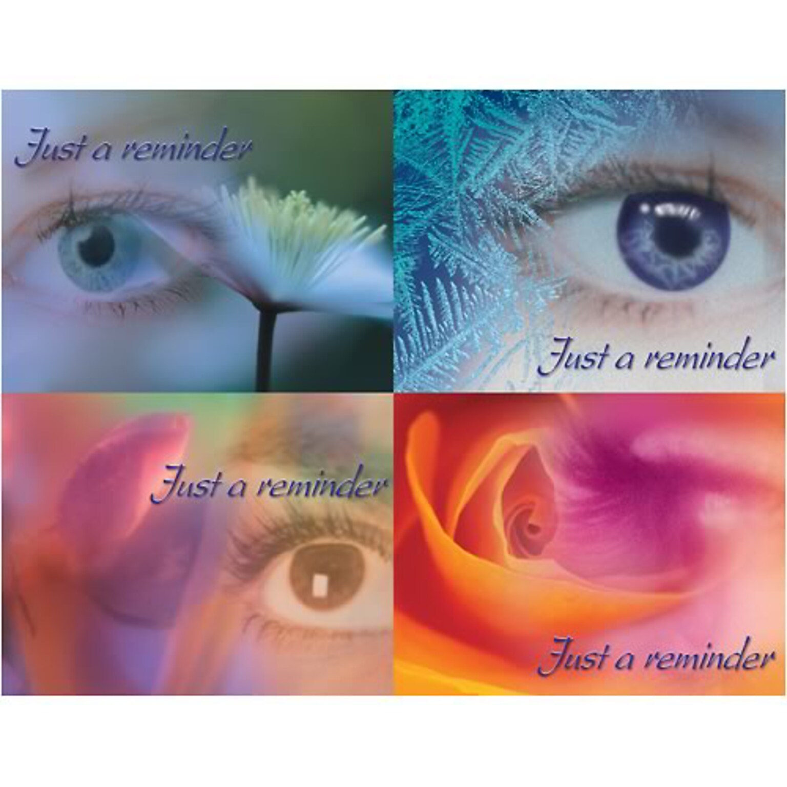 Medical Arts Press® Eye Care Assorted Postcards; for Laser Printer; Medical Arts Press® Eye Care, 100/Pk