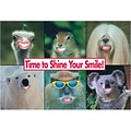 Medical Arts Press® Dental Standard 4x6 Postcards; Time to Shine