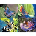 Medical Arts Press® Assorted Postcards; for Laser Printer; Butterfly, 100/Pk