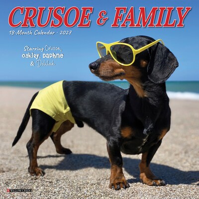 2027 Willow Creek Crusoe the Celebrity Dachshund 7 x 7 Monthly Wall Calendar (63972)