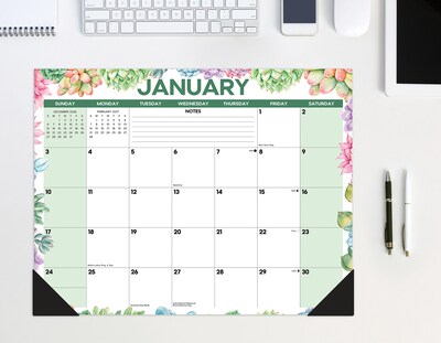 2027 Willow Creek Succulents 22" x 17" Monthly Desk Pad Calendar, Assorted Colors (66638)