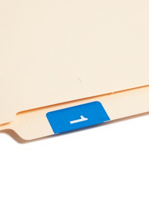 Smead DCC Labels File Folder Label, 1, Light Blue, 250 Labels/Pack (67421)