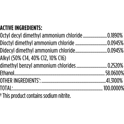 CloroxPro Disinfecting Spray, Fresh Scent, 19 oz., 12/Carton (38504)