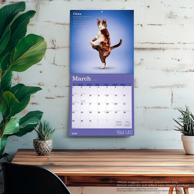 2026 BrownTrout Yoga Cats 12" x 12" Monthly Wall Calendar (9798330701919)