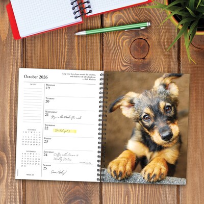 2026 Willow Creek What Dogs Teach Us 6.5" x 8.5" Daily & Monthly Personal Organizer (54673)