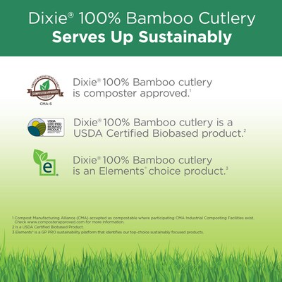 Dixie Compostable Bamboo Fork, Brown, 1000/Box (ANFBAM)