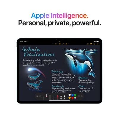 Apple iPad Air 6th Generation 13" Tablet, 128GB, Wi-Fi 6E + Cellular, Space Gray (MCJ14LL/A)