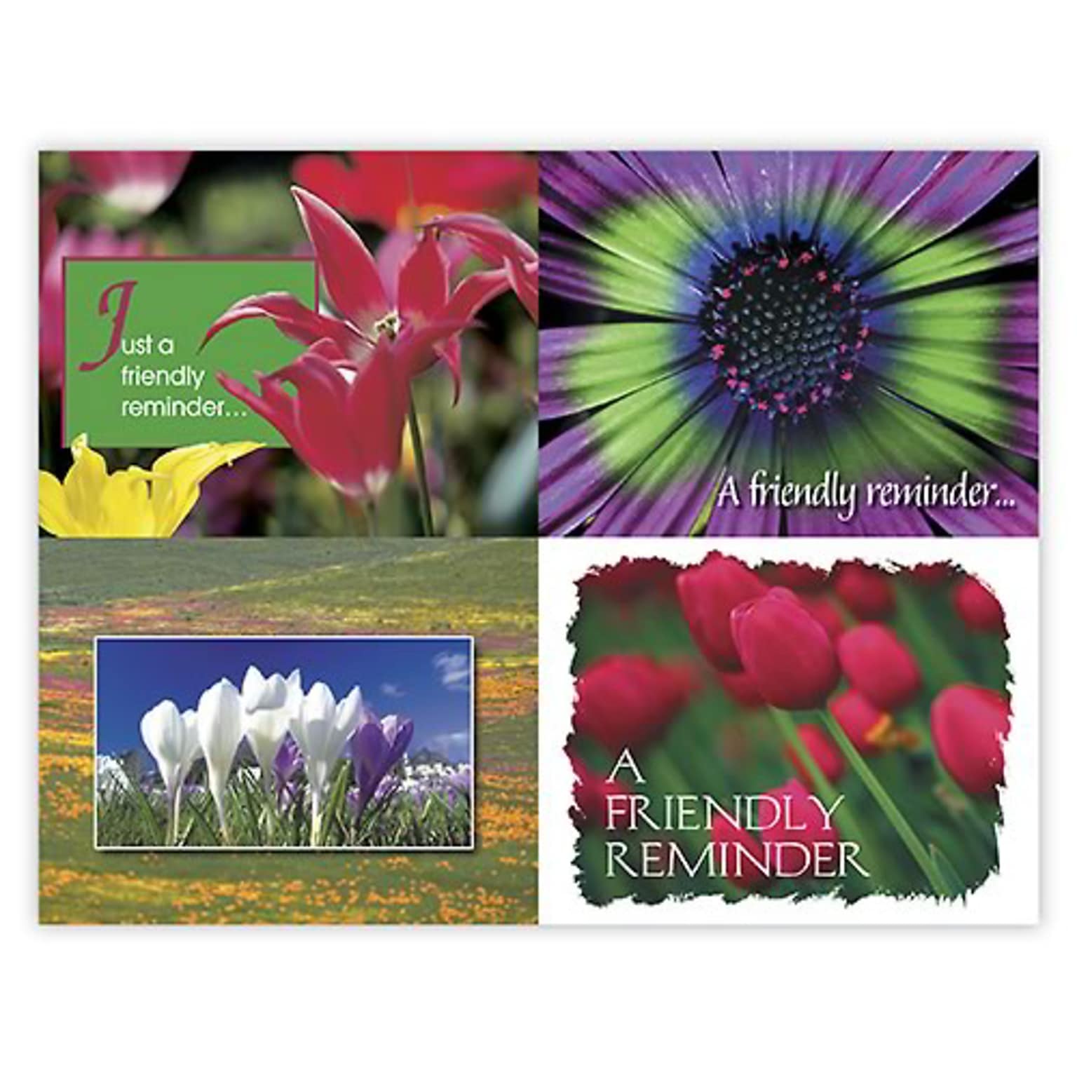 Medical Arts Press® Assorted Postcards; for Laser Printer; Bright Flower Assortment, 100/Pk