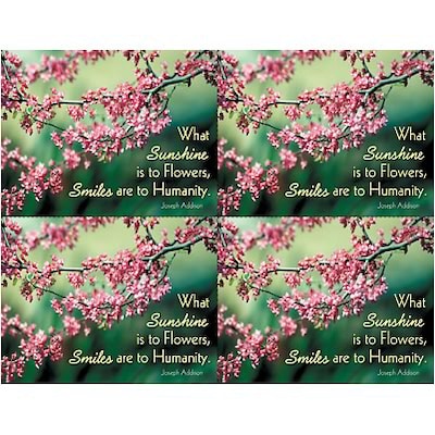Scenic Postcards; for Laser Printer; Sunshine is to Flowers, 100/Pk