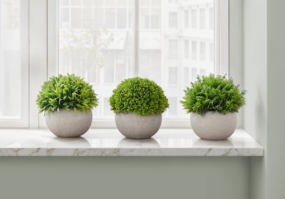 Monarch Specialties Inc. 5 Artificial Plant in Pot, 3/Set (I 9589)