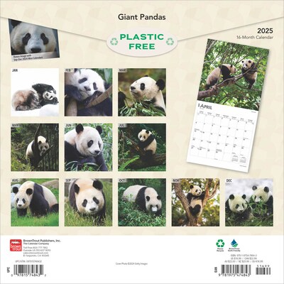 2025 BrownTrout Giant Pandas 12 x 12 Monthly Wall Calendar (9781975474843)