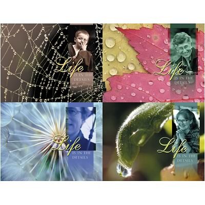 Medical Arts Press® Chiropractic Assorted Postcards; for Laser Printer; Life, 100/Pk