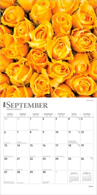 2026 BrownTrout Roses 12" x 12" Monthly Wall Calendar (9798330705382)
