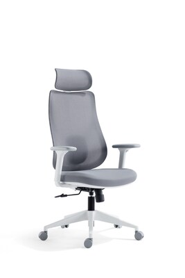 Raynor Group Torque Ergonomic Fabric/Mesh Swivel Manager Chair, Grey/White (TORQUE-WF-GRY )