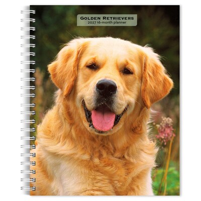 2027 BrownTrout Golden Retrievers 6.5 x 7.8 Calendar Year Weekly Standard Planner, Multicolor (9798330709502)