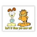 Garfield Eye Care Standard 4x6 Postcards; Time You Saw Us