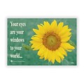 Medical Arts Press® Eye Care Recycled Postcards; Sunflower