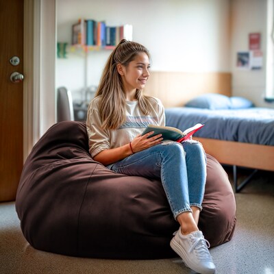 Flash Furniture Cotton Twill Bean Bag Chair, Brown (DGBEANLGSLDBN)