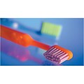Medical Arts Press® Dental Business/Appointment Cards; Reflecting Toothbrush