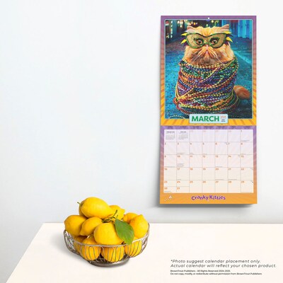 2025 BrownTrout Avanti Cranky Kitties  12" x 12" Monthly Square Wall Calendar (9781975479664)