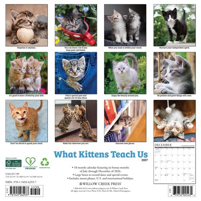 2027 Willow Creek Multi 12 x 12 Monthly Wall Calendar, Assorted Colors (62937)