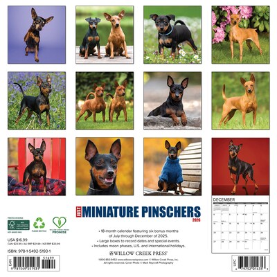 2026 Willow Creek Miniature Pinschers 12 x 12 Monthly Wall Calendar (51931)