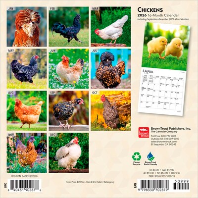2026 BrownTrout Chickens 7 x 7 Monthly Wall Calendar (9798330702879)