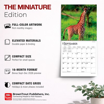 2027 BrownTrout Baby Animals 7" x 7" Monthly Wall Calendar, Assorted Colors (9798330709755)