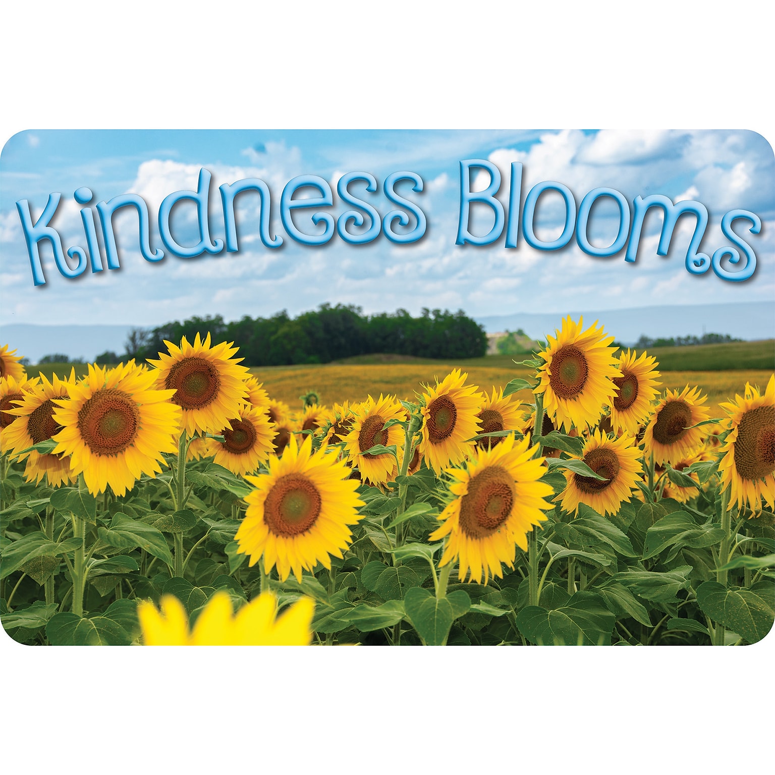 Ashley Productions The Original Fun Mat, Welcome Mat, 15.5 x 23.5, Kindness Sunflowers (ASH91530)