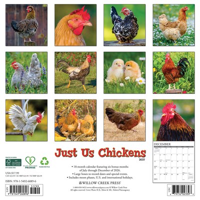 2027 Willow Creek Just Us Chickens 12 x 12 Monthly Wall Calendar (60896)