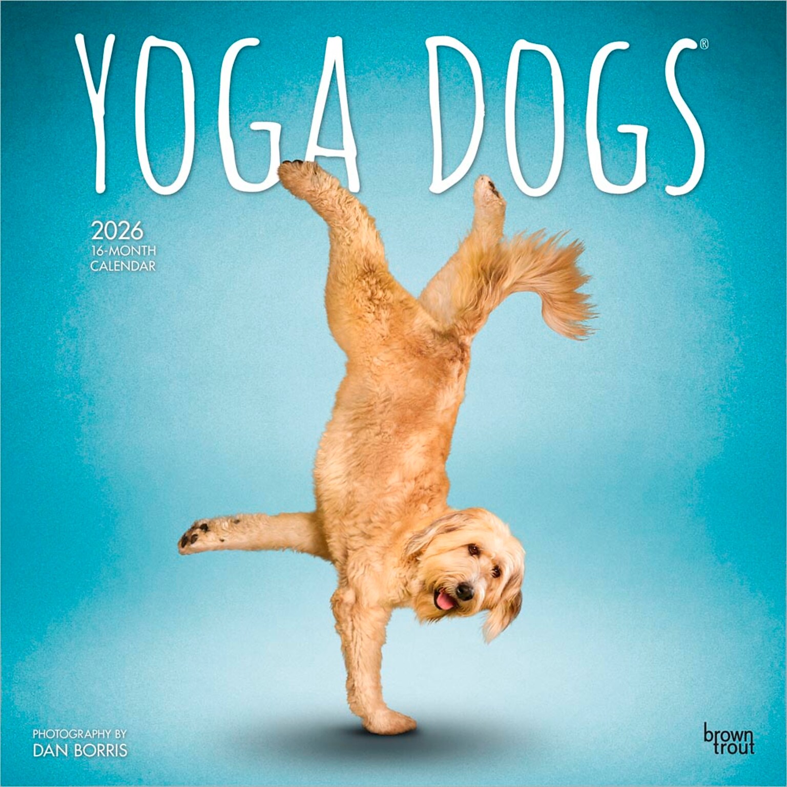 2026 BrownTrout Yoga Dogs 12 x 12 Monthly Wall Calendar (9798330701933)