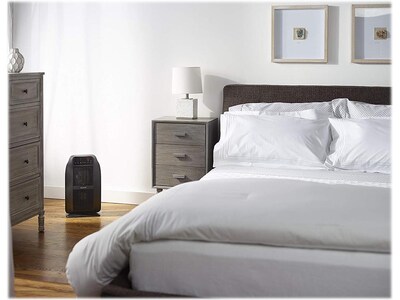 Honeywell HeatGenius 1500-Watt Portable Ceramic Electric Heater, Black (HCE840B)
