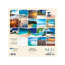 2023-2024 Plato Beaches 12 x 12 Academic & Calendar Monthly Wall Calendar (9781975467159)