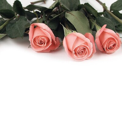 Great Papers! Pink Rose Petals Letterhead, Multicolor, 80/Pack (2013192)