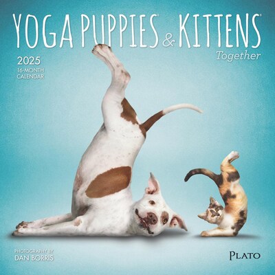 2025 Plato Yoga Puppies & Kittens Together 7 x 7 Monthly Wall Calendar (9781975480059)