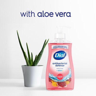 Dial Complete Antibacterial Liquid Hand Soap, Pomegranate Tangerine Scent (00017000209432)