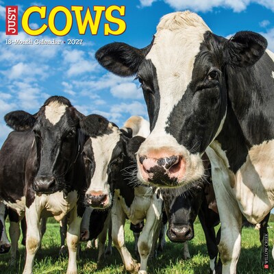 2027 Willow Creek Cows 12 x 12 Monthly Wall Calendar, Assorted Colors (59913)