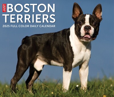 2025 Willow Creek Boston Terriers 6" x 5.5" Day-to-Day Calendar (40683)