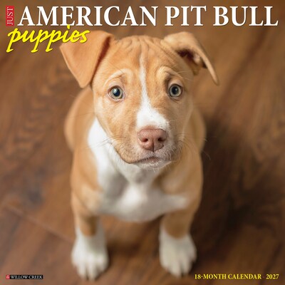 2027 Willow Creek American Pit Bull Terrier Puppies 12 x 12 Monthly Wall Calendar, Assorted Colors (58749)