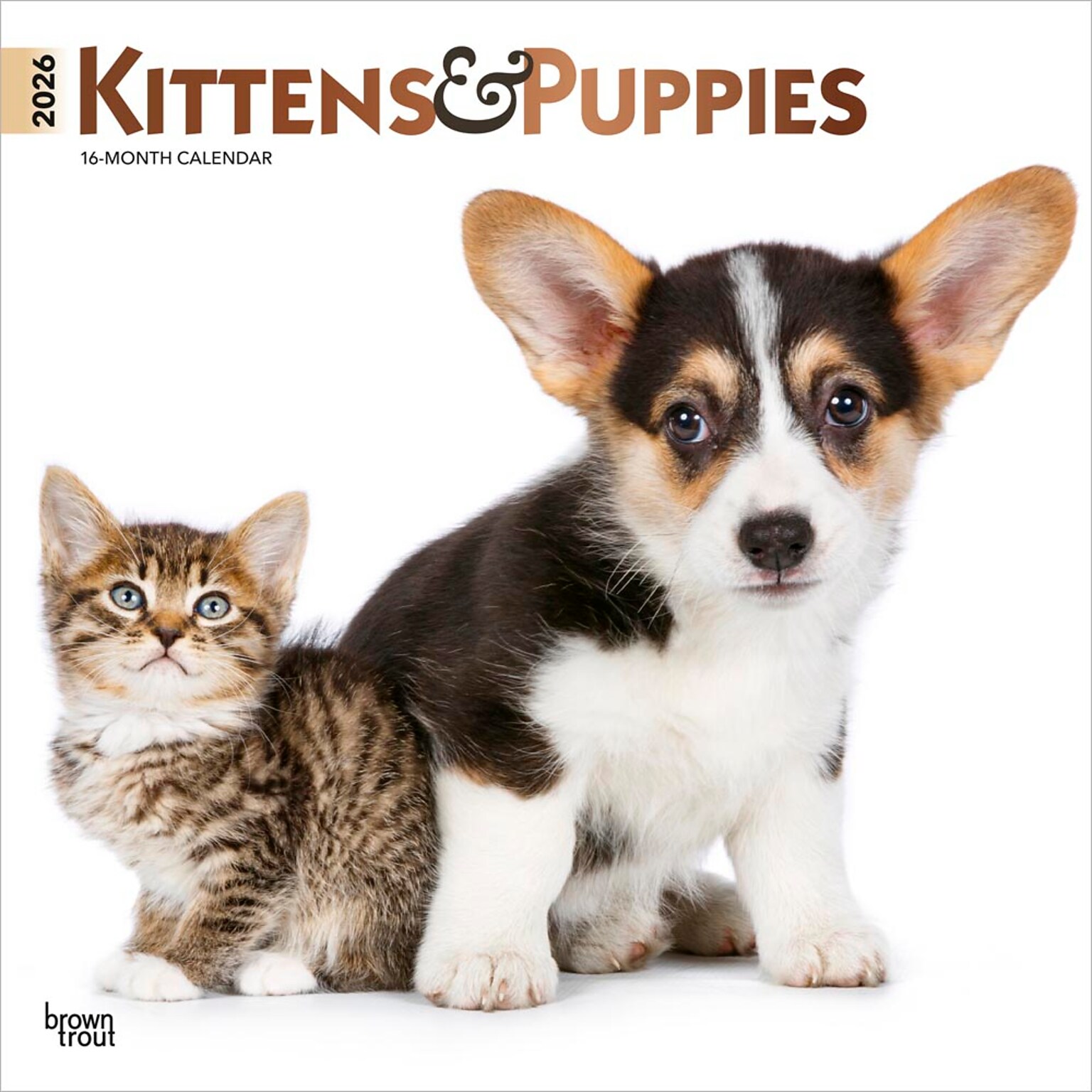2026 BrownTrout Kittens & Puppies 12 x 12 Monthly Wall Calendar (9798330704101)