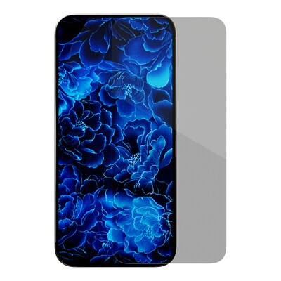 cellhelmet Tempered Glass Screen Protector for iPhone 17 (CHELST106C000)