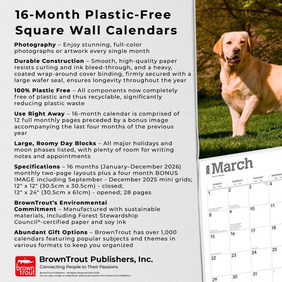 2026 BrownTrout Yellow Labrador Retrievers 12" x 12" Monthly Wall Calendar (9798330704262)