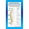 Medical Arts Press® Chiropractic Business/Appointment Cards; Connect Bones