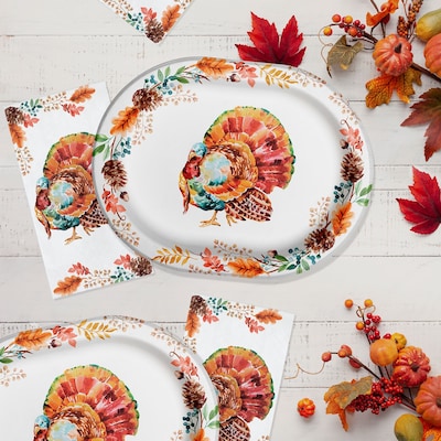 Say Hooray! Tasteful Turkey Paper Plates and Guest Towels Kit, Multicolored, 48/Pack (DTC9386E2H)