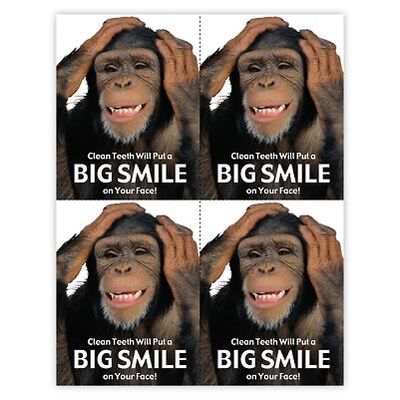 Medical Arts Press® Dental Postcards; for Laser Printer; Clean Teeth Big Smile, 100/Pk