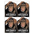 Medical Arts Press® Dental Postcards; for Laser Printer; Clean Teeth Big Smile, 100/Pk