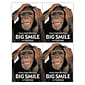 Medical Arts Press® Dental Postcards; for Laser Printer; Clean Teeth Big Smile, 100/Pk