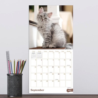 2027 TF Publishing Kittens 7" x 7" Monthly Wall Calendar, Multicolored (27-2002)